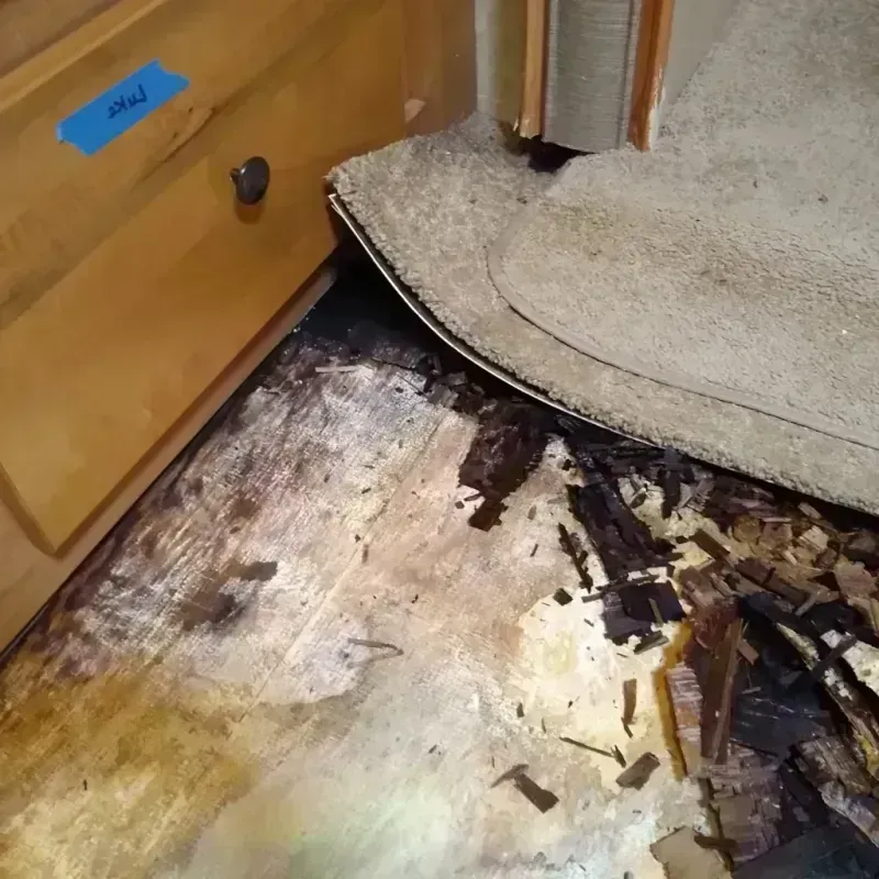 Wood Floor Water Damage in Comstock Park, MI